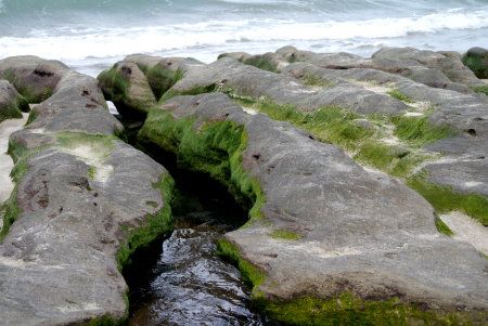 老梅綠石槽在幾月