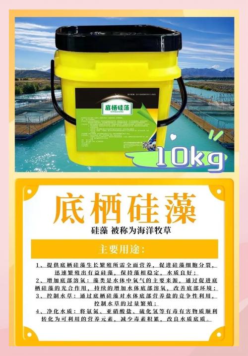 珪藻土對人體有害嗎