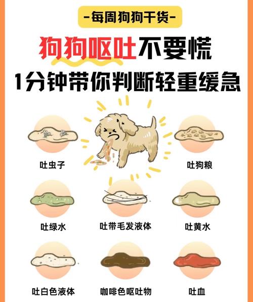一直嘔吐會脫水嗎
