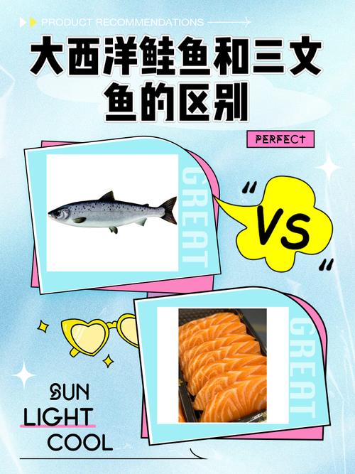 三文魚就是鮭魚嗎?深入解析牠們的關係與市場迷思 1 三文魚就是鮭魚嗎