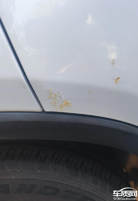 車子掉漆會生鏽嗎?專業解析掉漆原因、生鏽風險與預防之道 1 車子掉漆會生鏽嗎