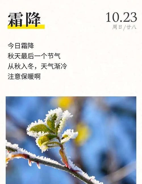 霜降跟梅花差在哪