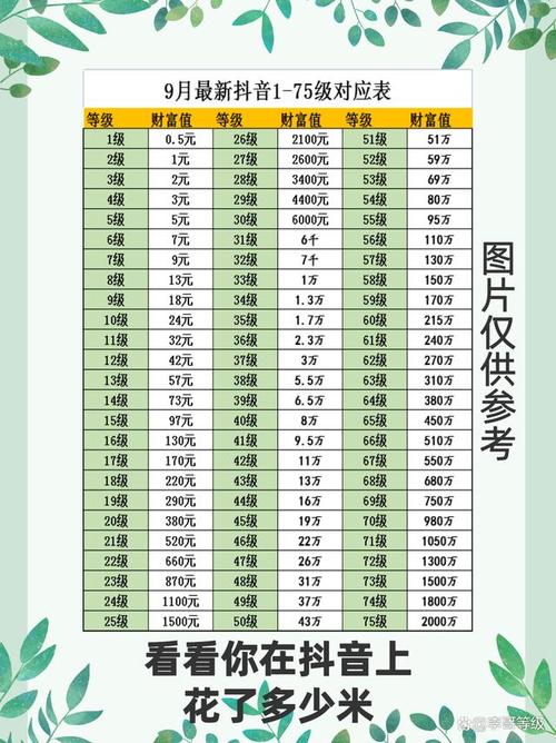 抖音30級要花多少錢