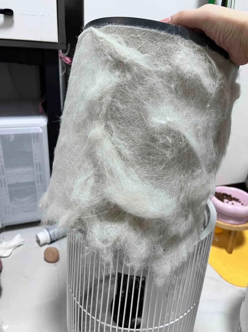 貓掉毛怎麼清:讓居家環境告別毛茸茸的煩惱 3 貓掉毛怎麼清