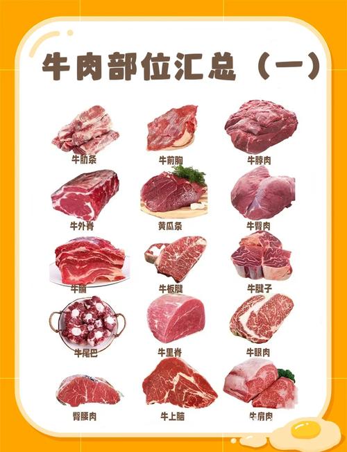 牛肉什麼部位比較不油?低脂美味部位大解密! 1 牛肉什麼部位比較不油