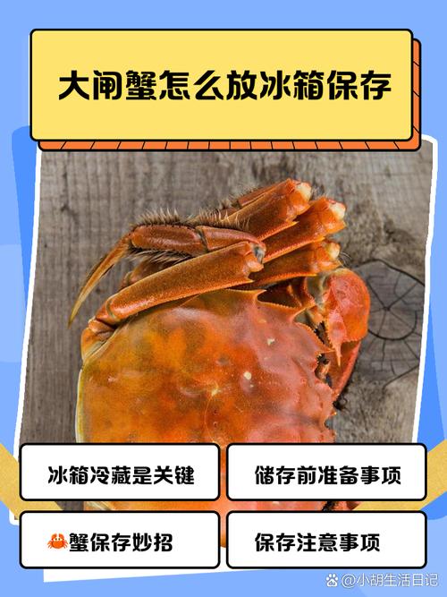 螃蟹買回來怎麼保存