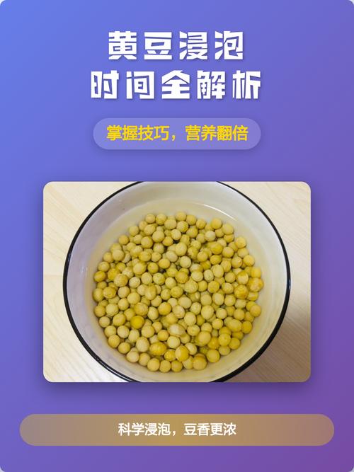 黃豆為何要泡水?完整解析豆類預處理的科學與實踐 1 黃豆為何要泡水