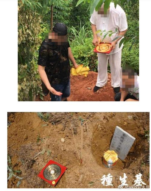 葬生基是什麼