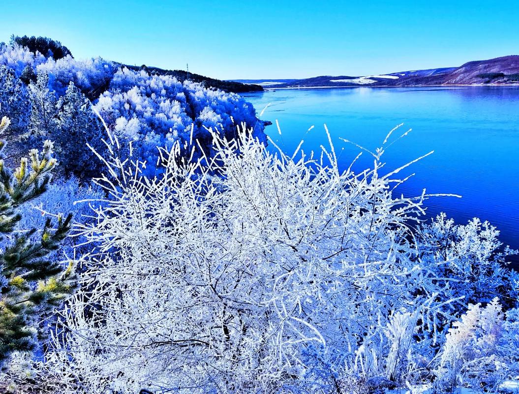 一月底河口湖會下雪嗎