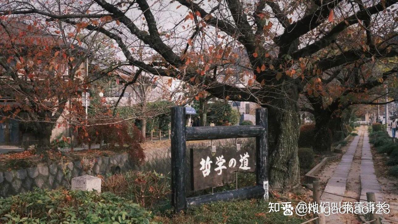 哲學之道怎麼去