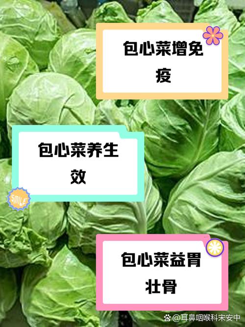 菜心有什麼好處?深入解析營養價值與日常運用,讓你吃出健康好氣色! 3 菜心有什麼好處