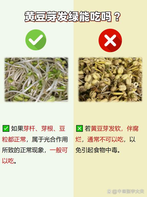 豆芽菜變黃還可以吃嗎