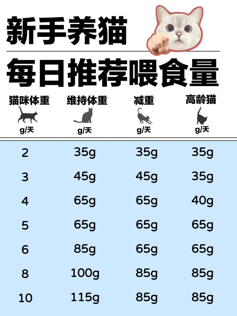 貓咪飼料克數