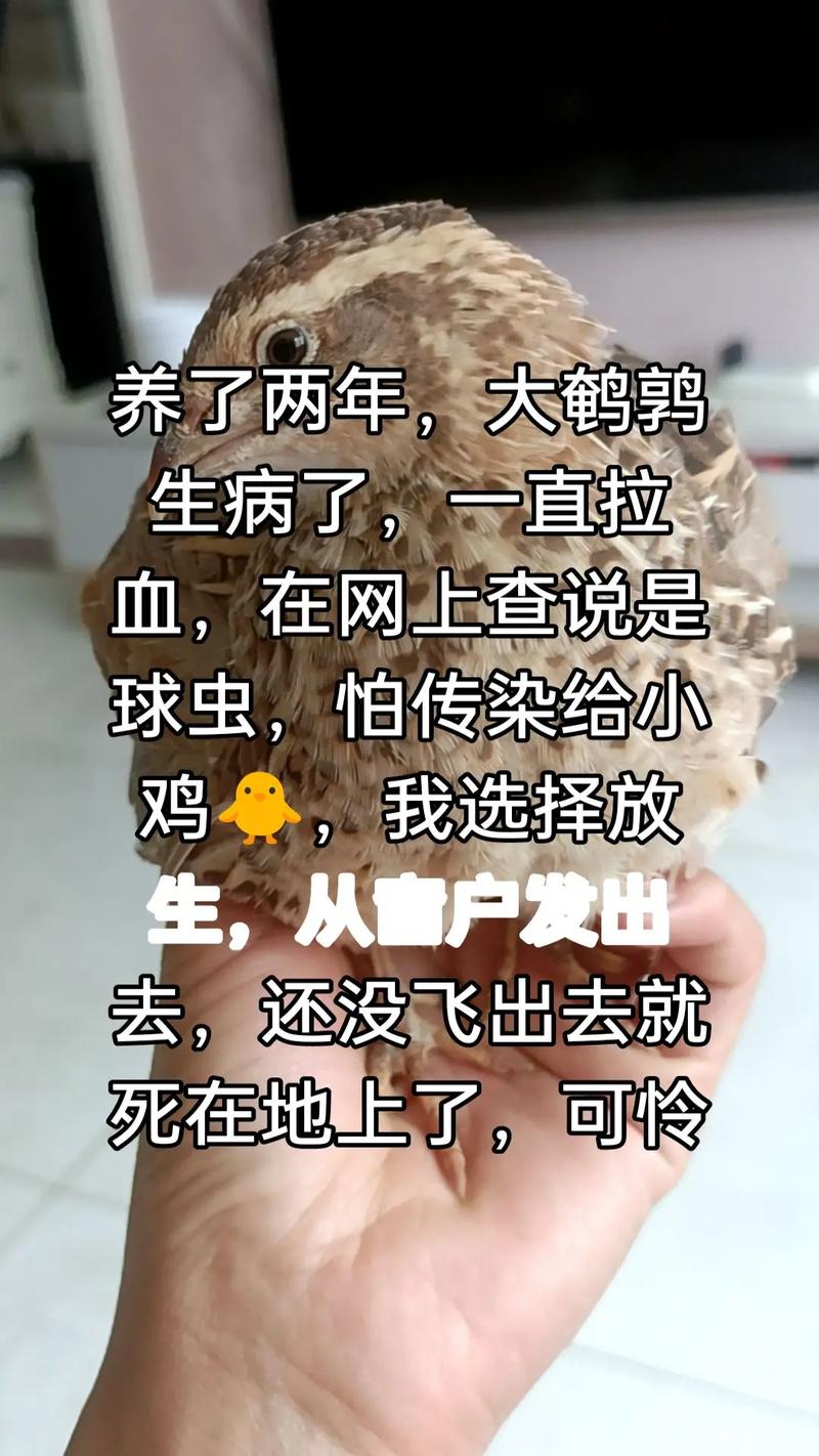 要怎麼知道自己快死了