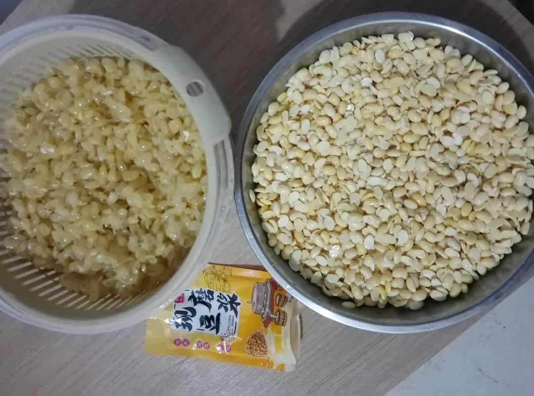 煮豆漿黃豆要去皮嗎?超詳細解析,新手也能煮出綿密香醇的豆漿! 1 煮豆漿黃豆要去皮嗎