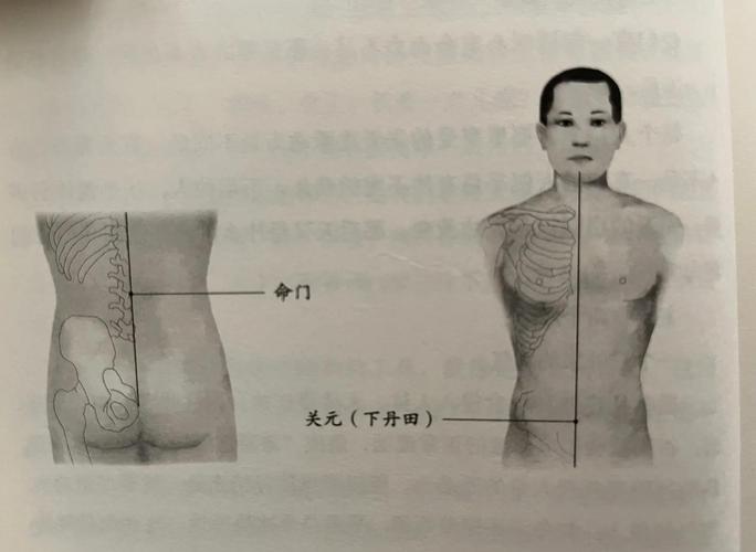 人有幾個丹田?深入解析人體丹田的奧秘與修煉 1 人有幾個丹田