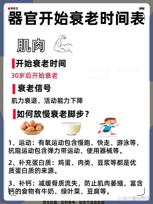 身體幾歲開始退化