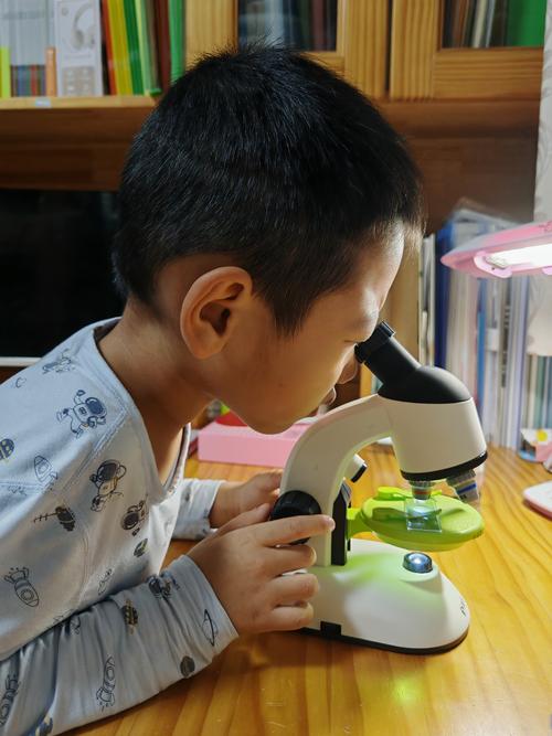 為什麼載玻片要滴水