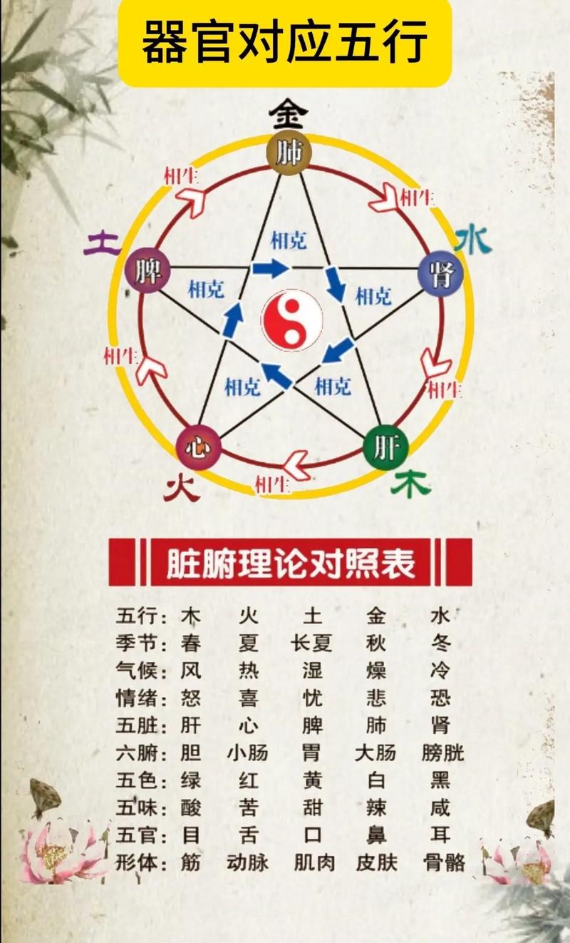 什麼是陰陽調和