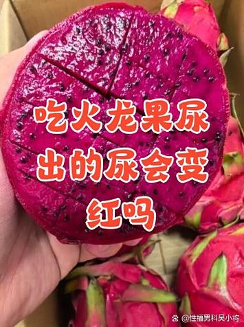 吃紅色火龍果尿尿會紅紅的嗎?探究火龍果的神奇色素與身體反應 1 吃紅色火龍果尿尿會紅紅的嗎
