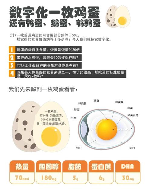 一顆蛋蛋黃蛋白幾克