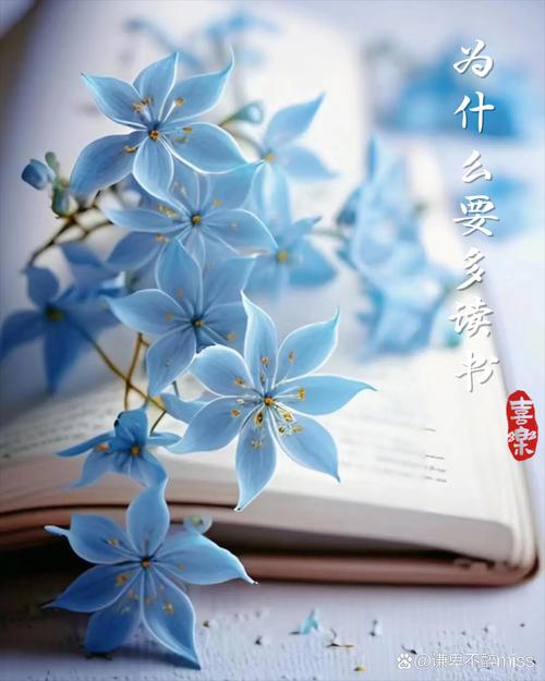 龍應台我為什麼要求你讀書