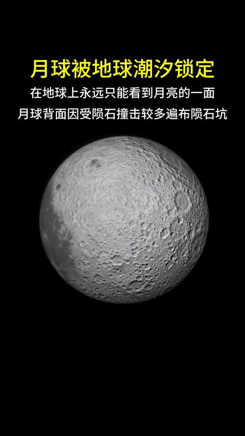 月球有生命嗎