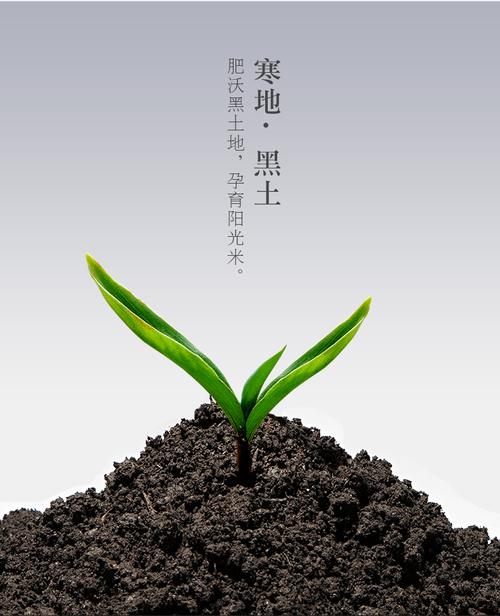 黑土為什麼叫黑土?揭開台灣黑土的神秘面紗與肥沃奧秘 3 黑土為什麼叫黑土