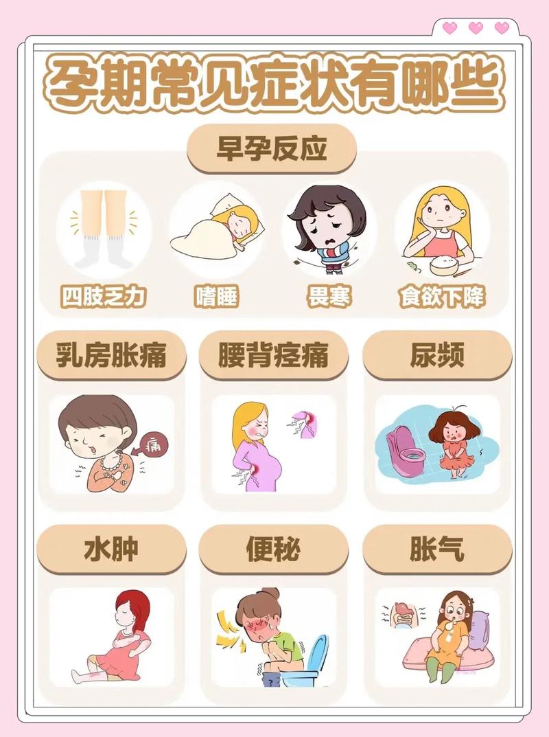 為什麼剛生完容易懷孕?產後恢復與再次受孕的生理秘密 3 為什麼剛生完容易懷孕