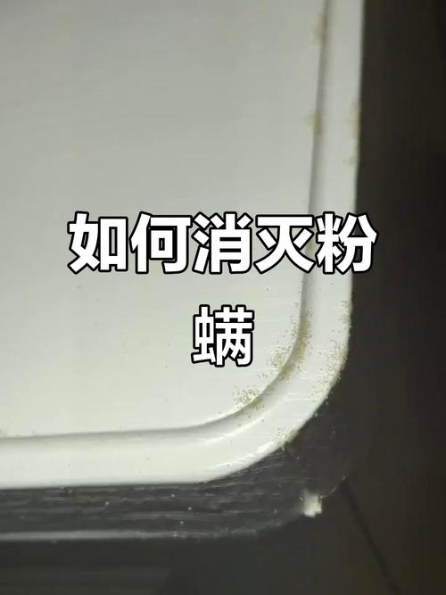 粉蟎怎麼來的