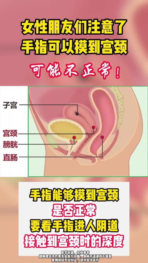 手指碰得到處女膜嗎