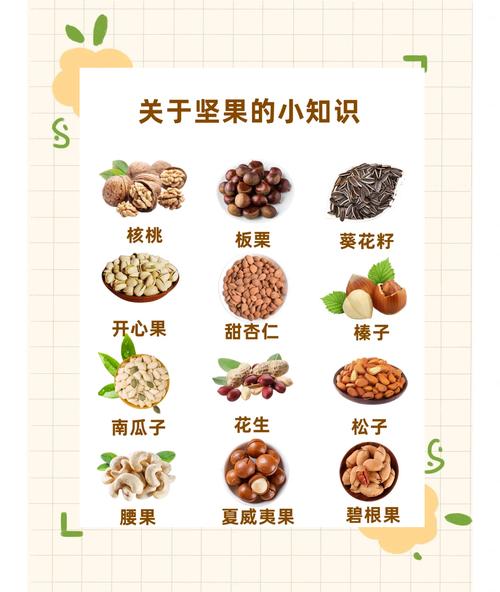 減肥一天可以吃多少堅果?掌握份量與益處,讓瘦身更有效率! 3 減肥一天可以吃多少堅果