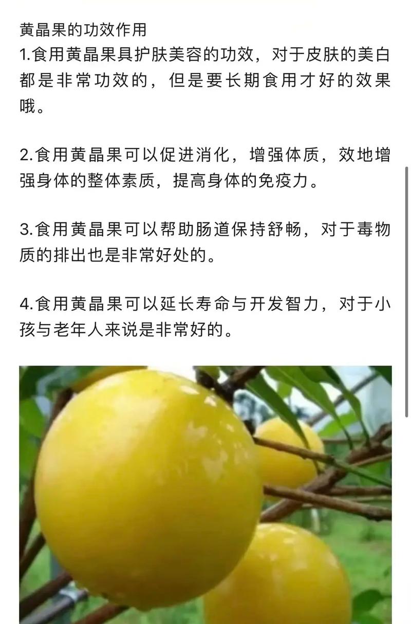 什麼是水果之王?探尋榴槤的獨特魅力與尊貴地位 3 什麼是水果之王
