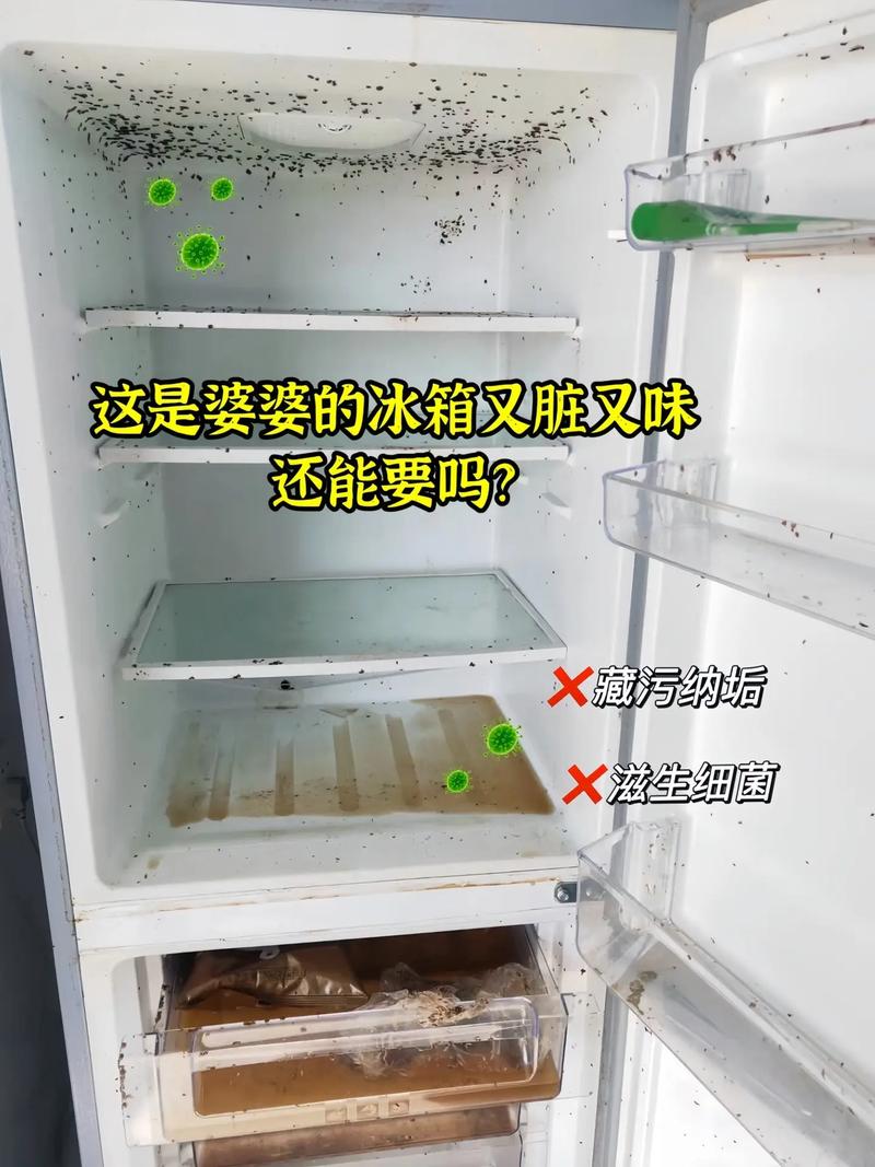 冰箱會有霉菌嗎