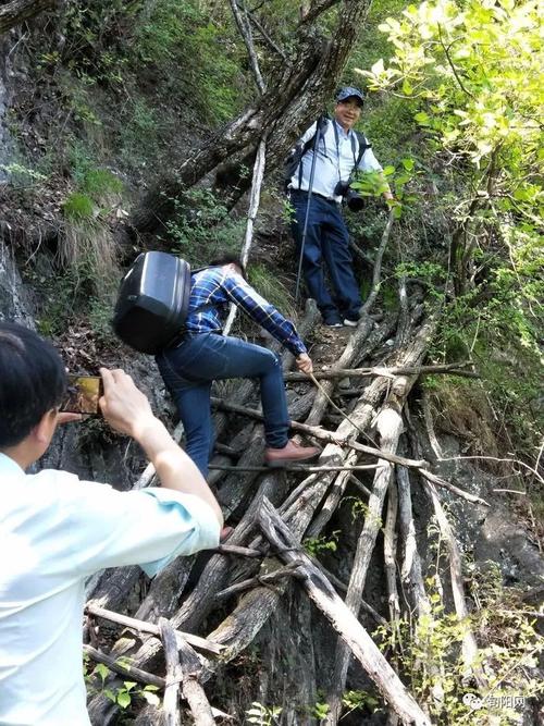 八卦山隧道可以騎重機嗎?重機族必知的安全騎乘與規定解析 1 八卦山隧道可以騎重機嗎