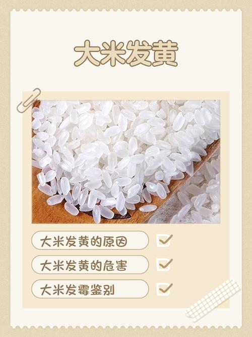 米可以先洗好嗎