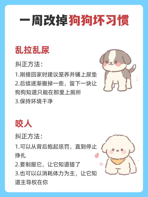 養狗很臭怎麼辦