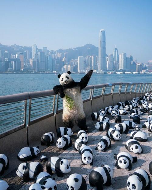 Panda Go 要上樓嗎?關於高樓層入住的考量與實用建議 1 panda go要上樓嗎