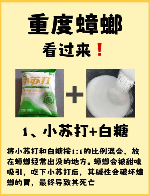 蘇打粉殺蟑螂