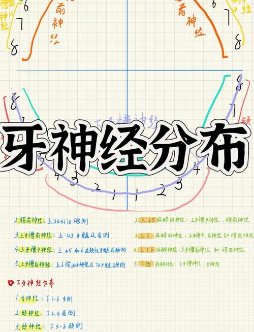牙髓是神經嗎