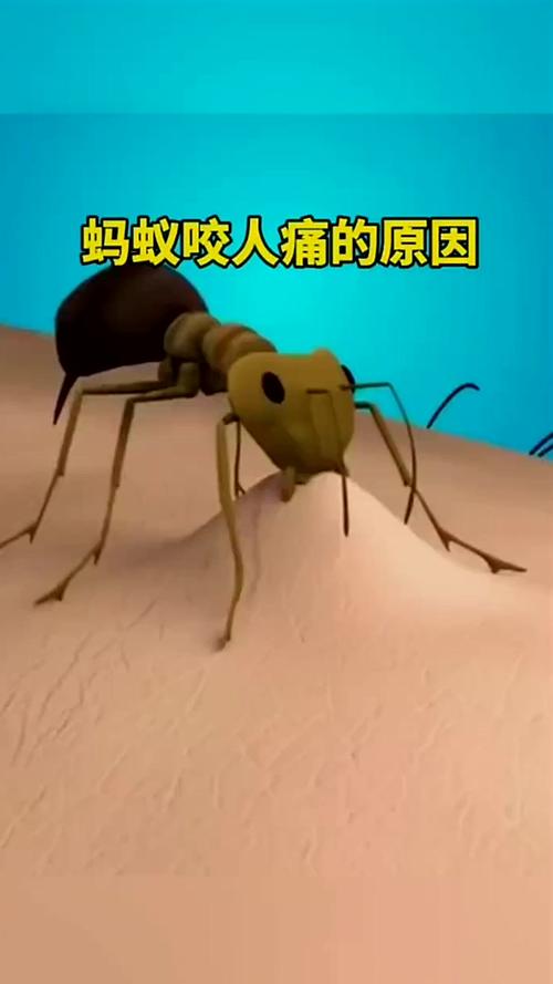 飛蟻會咬人嗎