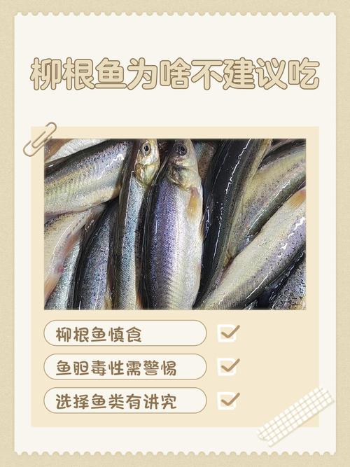 柳葉魚要殺嗎