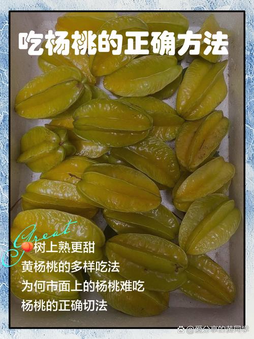 什麼樣的人不適合吃楊桃