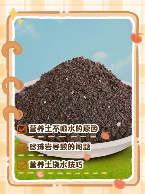 土太濕怎麼辦
