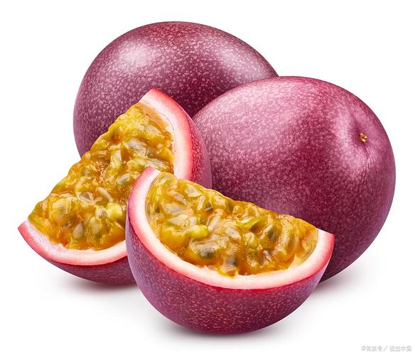 為什麼百香果叫passion fruit?探尋名字背後深層的奧秘與意涵 1 為什麼百香果叫passion fruit