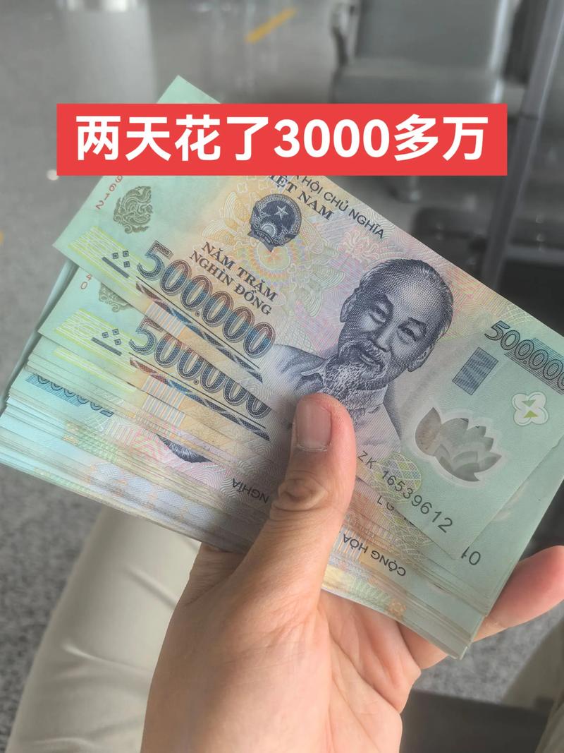 去越南可以帶多少錢