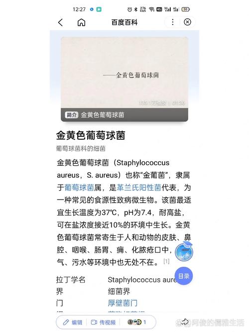 如何殺死黃金葡萄球菌