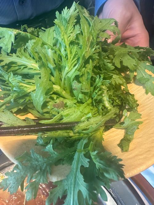什麼病不能吃茼蒿