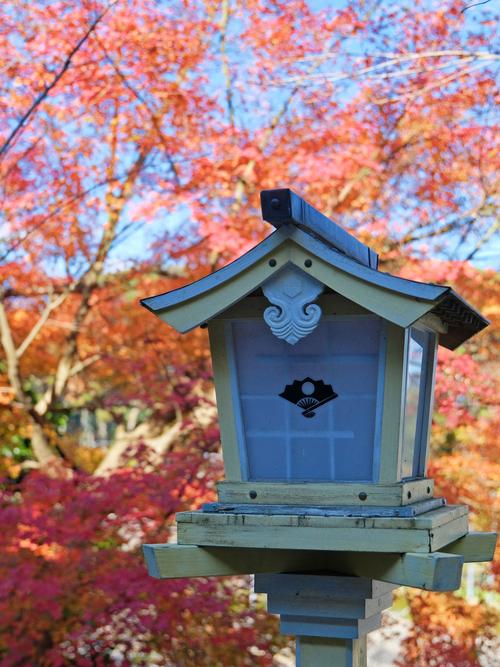 日本的神社可以拍照嗎