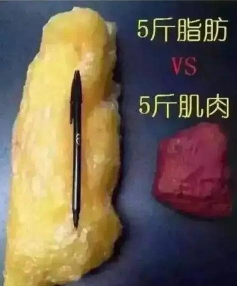 1公斤脂肪有多大?視覺化你的減重目標,揭開體脂肪的真實體積! 3 1公斤脂肪有多大